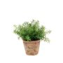 Artificial asparagus LUCANO, terracotta pot, 8"/20cm, Ø8"/20cm