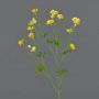 Artificial buttercup spray NORA, yellow, 28"/70cm, Ø0.8"-1.2"/2-3cm
