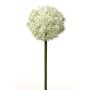 Artificial allium SAMARA, cream, 31"/75cm, Ø4.7"/12cm