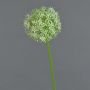 Artificial allium SAMARA, cream, 31"/75cm, Ø4.7"/12cm