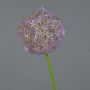 Artificial allium SAMARA, purple, 31"/75cm, Ø4.7"/12cm