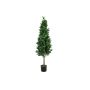 Plastic Laurel cone tree GIUSEPPE, real stem, green, 6ft/180cm