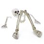 Halloween decoration: Skeleton parts ADALBERT with 5 ground stakes, 19cm, 45cm, 66cm