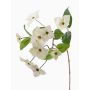 Artificial Dogwood spray KOHANA, with blooms, cream, 26"/65cm, Ø1.6"-3.1"/4-8cm