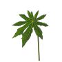 Artificial Aralia leaf ZYAO, green, 22"/55cm