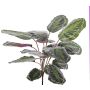 Artificial Calathea Medallion BRIHANNA, spike, green, 30"/75cm