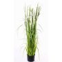 Artificial star grass TAIGA with panicles, green, 5ft/140cm