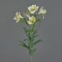 Artificial lily of the Incas AUBERTA, green-white, 30"/75cm, Ø2.4"/6cm
