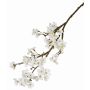 Artificial Apple blossom spray LINDJA, white, 3ft/105cm