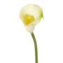 Artificial calla CHIDORA, cream, 22"/55cm, 2"x2.4"/5x6cm