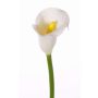 Artificial calla CHIDORA, white, 22"/55cm, 2"x2.4"/5x6cm