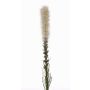 Fake liatris spicata MITSA, cream, 31"/80cm, Ø2.4"/6cm