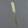 Fake liatris spicata MITSA, cream, 31"/80cm, Ø2"/5cm