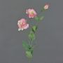 Artificial lisianthus / Eustoma NOWA, light pink, 31"/80cm, Ø2.8"/7cm