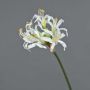 Artificial swamp lily MONJA, white, 28"/70cm, Ø4.7"/12cm