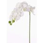 Artificial phalaenopsis spray GALINA, cream, 18"/45cm, Ø2.8"-3.1"/7-8cm