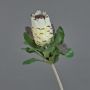 Artificial protea NELLI, white-yellow, 30"/75cm, Ø3.1"/8cm