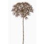 Artificial hogweed ANSARI, brown, 31"/80cm, Ø9"/22cm