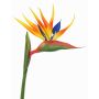 Fake strelitzia LATIFA, orange-violet, 31"/80cm, 7"x8"/17x20cm