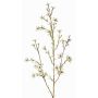 Fake waxflower spray NIANG, cream, 31"/80cm, Ø0.6"-1"/1.5-2.5cm