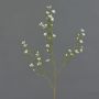 Fake waxflower spray NIANG, cream, 31"/80cm, Ø0.8"-1.2"/2-3cm