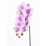 Artificial phalaenopsis spray ENISA, pink-white, 24"/60cm, Ø2.8"-3.1"/7-8cm