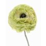 Fake ranunculus ALIMA, green, 14"/35cm, Ø3.1"/8cm