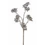 Patrinia scabiosifolia spray KANUGI, blue, 26"/65cm