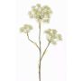 Artificial hogweed ABDEROS, cream, 3ft/105cm, Ø4.7"-8"/12-20cm