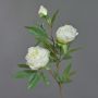 Artificial peony MANJA, white, 28"/70cm, Ø3.1"-4"/8-10cm