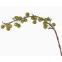 Fake Apple tree spray BORIAN, with fruits, green, 37"/95cm