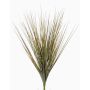 Silk sedge grass AMILO, on spike, green-brown, 26"/65cm