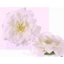 Fake rose blossom SASKIA, floating, cream, 2"/5cm, Ø5.9"/15cm