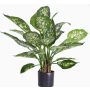 Fake Dieffenbachia DILLA, green-white, 20"/50cm