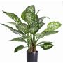Fake Dieffenbachia DILLA, green-white, 20"/50cm