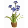 Fake agapanthus INJALA in soil ball, blue-purple, 31"/80cm, Ø4.3"/11cm