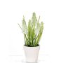 Fake grape hyacinth ARABELLA in a decorative pot, cream, 10"/25cm, Ø0.8"-1.2"/2-3cm