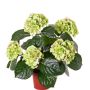 Artificial flower hydrangea TEMARI, green, 16"/40cm, Ø3.9"-4.7"/10-12cm