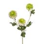 Artificial branch Scabious caucasica ANAYS, white-green, 31"/80cm