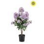 Artificial Lilac Strauch TRIGA in a decorative pot, crossdoor, light purple, 26"/65cm