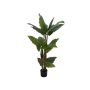 Artificial plant Alocasia Calidora PATRICIUS, green, 5ft/140cm