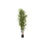 Fake Bamboo ELISSO, real bamboo canes, green, 6ft/180cm