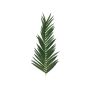 Artificial coconut palm frond GLORINA, 5ft/150cm