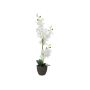 Fake Orchid Phalaenopsis KATALIN, decorative pot, white, 31"/80cm