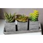 Artificial succulent arrangement SYLVIA in decorative pots, green, 7.5"x3"x4.3"/19x7,5x11cm
