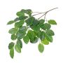 Artificial banyan fig branch FARY, green, 26"/65cm