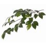 Fake camellia branch RAVEN, green, 28"/70cm