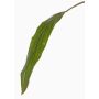 Fake cordyline leaf ELARA, green, 35"/90cm