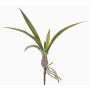 Fake oncidium orchid leaves HENNES, aerial roots, 10"x16"/25x40cm