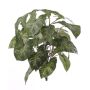 Fake syngonium RUBEN on spike, green-white, 16"/40cm